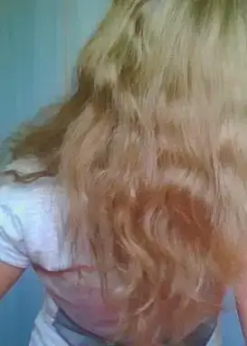 $Picture0143.webp $Picture0143.webp