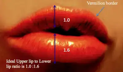 ideal-beautiful-lip-for-lip-augmentation-or-lip-injection.webp