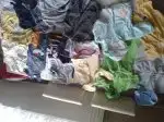 1143159-c67633a8beb4435578c59bc0d15951c8.webp