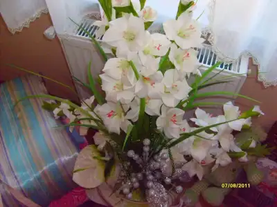$S6305638.webp