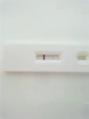 $22082011061.webp