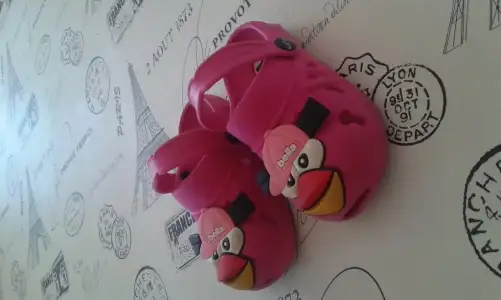 1430997560487.webp
