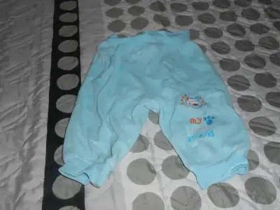 016.webp
