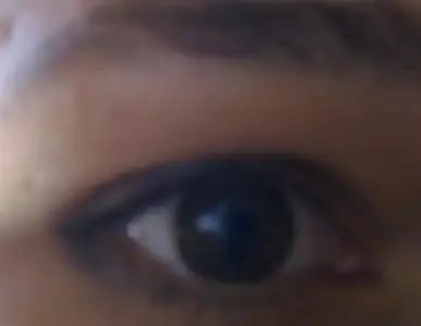 $16122010202.webp