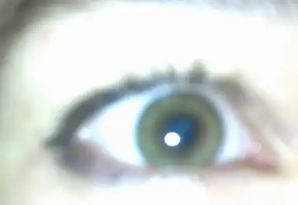 $16122010198.webp