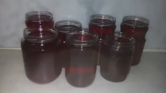 20150716_173017.webp