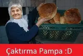 imagesCAEWPUH9.webp