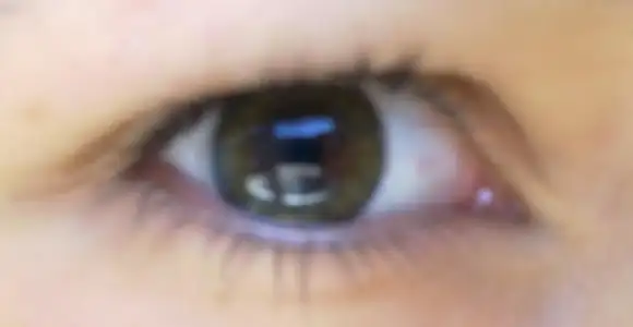 $17122010207.webp