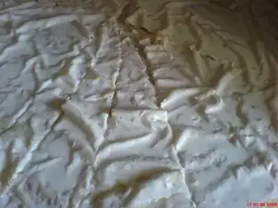 $DSC01028.webp $DSC01028.webp