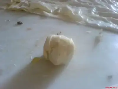 $DSC01030.webp $DSC01030.webp