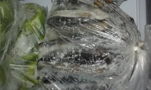 20150730_155810.webp