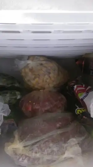 IMAG0669.webp