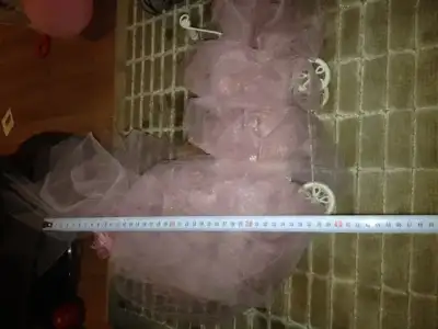 image2.webp