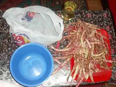 P1170029.webp