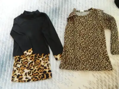 DSCN3761.webp
