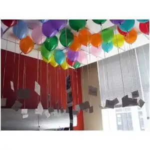 45588.webp