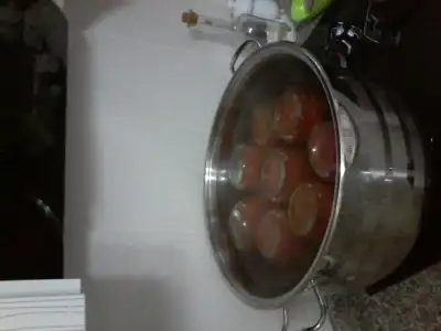 20150809_021032.webp