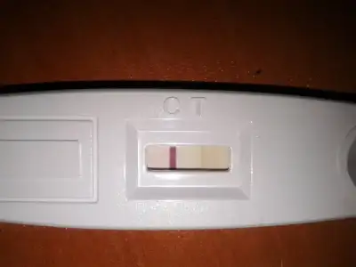 image.webp