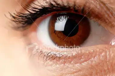 $istockphoto_5444940-brown-eyes.webp