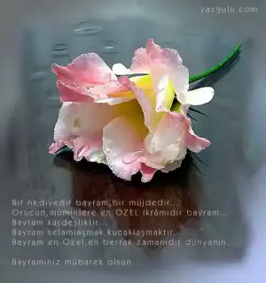 $ramazan_bayrami.webp