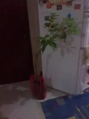 $2011-09-01 22.27.05.webp