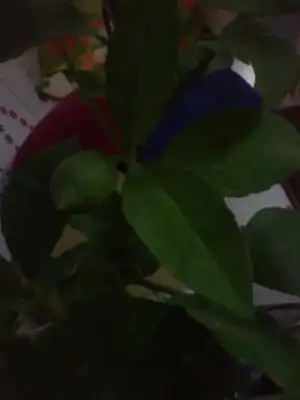 $2011-09-01 22.24.31.webp