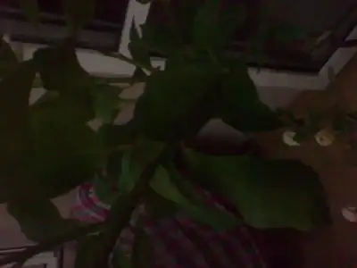 $2011-09-01 22.24.39.webp