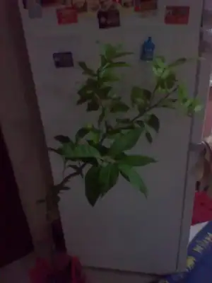 $2011-09-01 22.26.36.webp