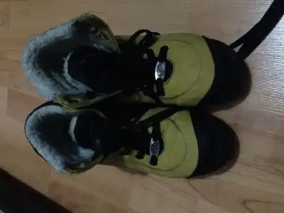 image.webp