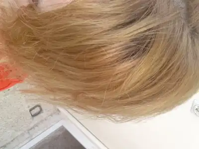 20150813_171016.webp