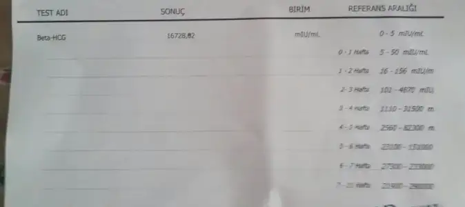 2015-08-18 15.13.09.webp