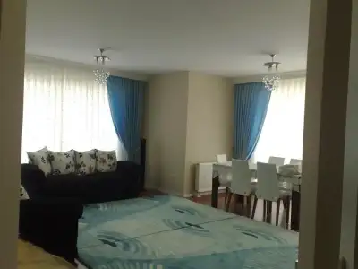 $04062010851.webp