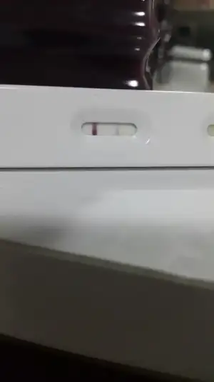 2015-08-29 22.46.35.webp