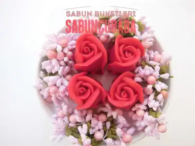 sb007.webp