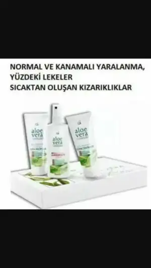 7.webp 7.webp
