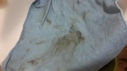 20150903_183034.webp