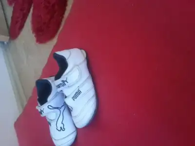20150722_131431.webp