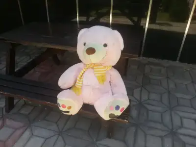 20150720_130609.webp
