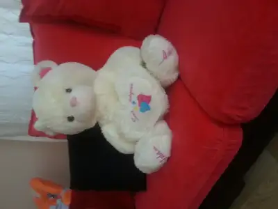 20150722_120453.webp