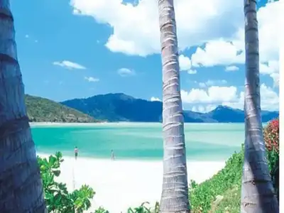 $su yeşili 16.webp