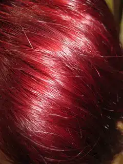 $erereree.webp $erereree.webp