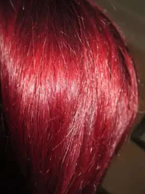 $IMG_0776.webp $IMG_0776.webp