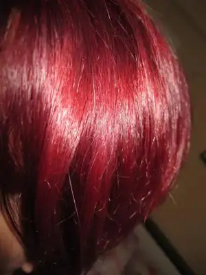 $IMG_0777.webp $IMG_0777.webp