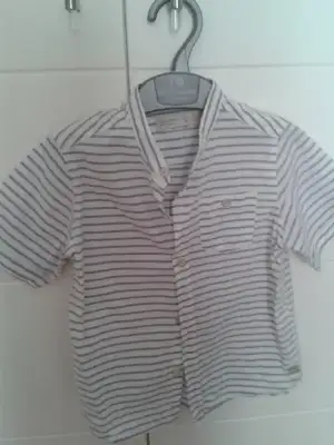 184.webp