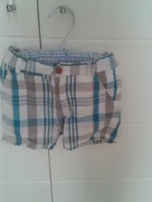 229.webp