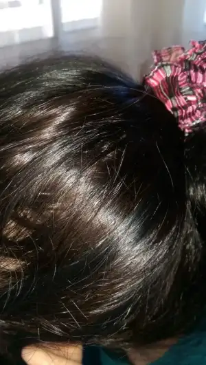 IMAG0571.webp
