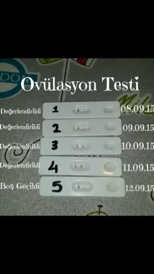 Screenshot_2015-09-12-23-01-54.webp