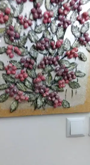 11951389_10204679384566504_3263598176522397854_n.webp