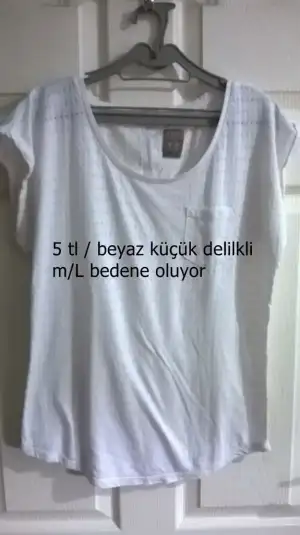 13.webp