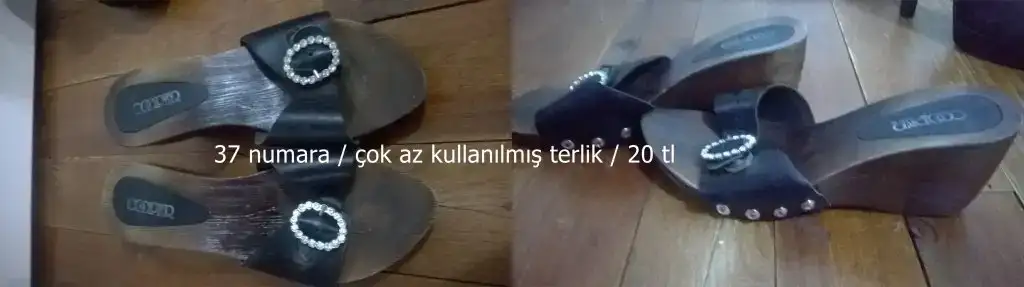 16.webp